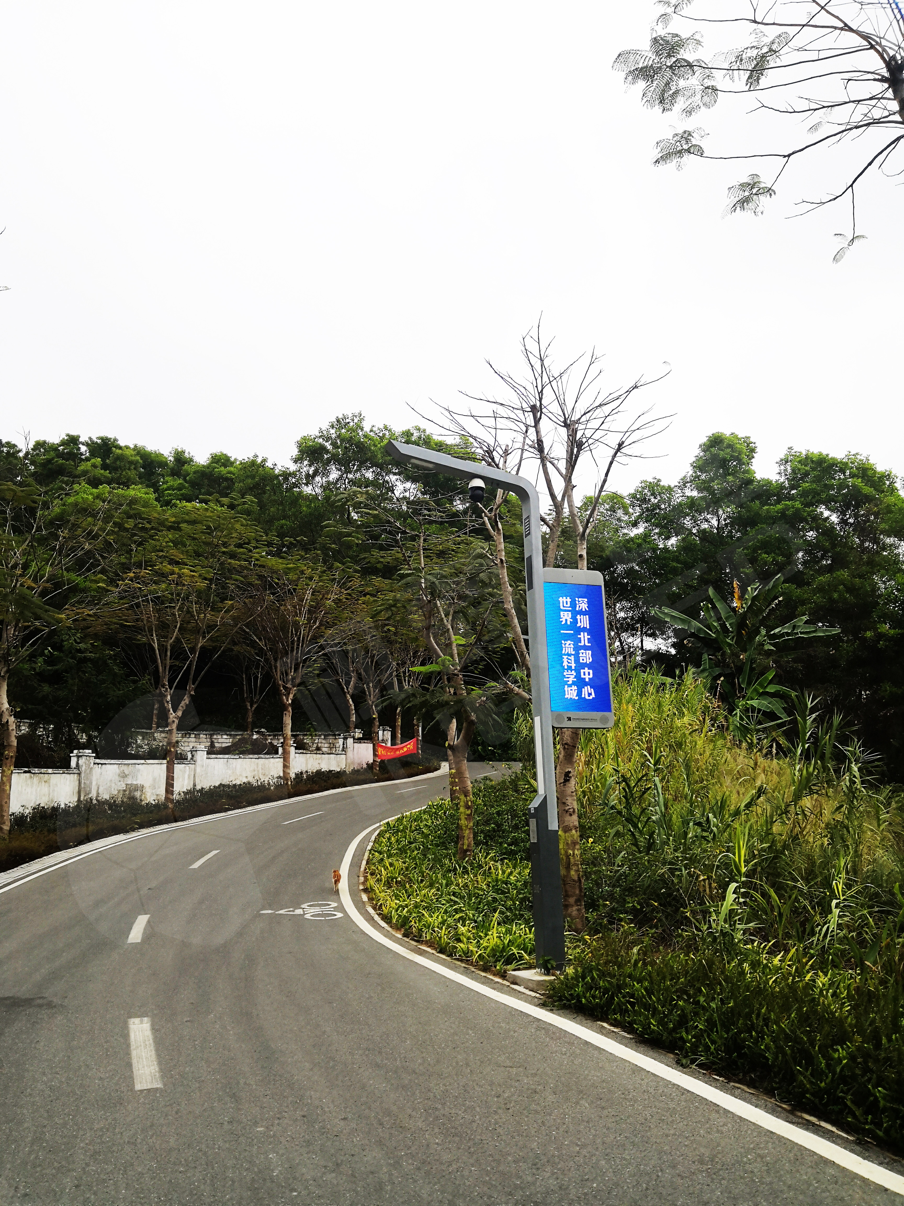 視爵光旭LED智慧燈桿屏經(jīng)典案例--深圳光明綠道